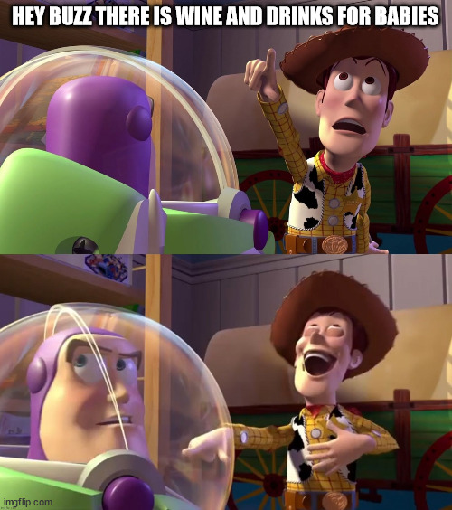 Toy Story funny scene | HEY BUZZ THERE IS WINE AND DRINKS FOR BABIES | image tagged in toy story funny scene | made w/ Imgflip meme maker