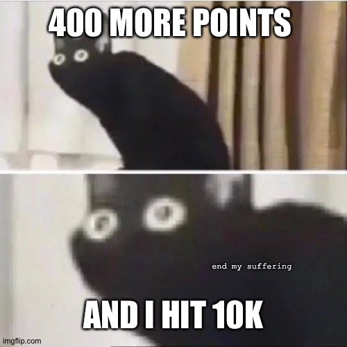 so.. close.. | 400 MORE POINTS; AND I HIT 10K; end my suffering | image tagged in scared cat | made w/ Imgflip meme maker