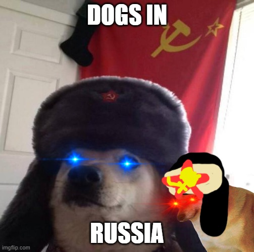 Hey, it's a doge in russia (...and cheems???) | DOGS IN; RUSSIA | image tagged in russian doge,cheems,doge,fun | made w/ Imgflip meme maker
