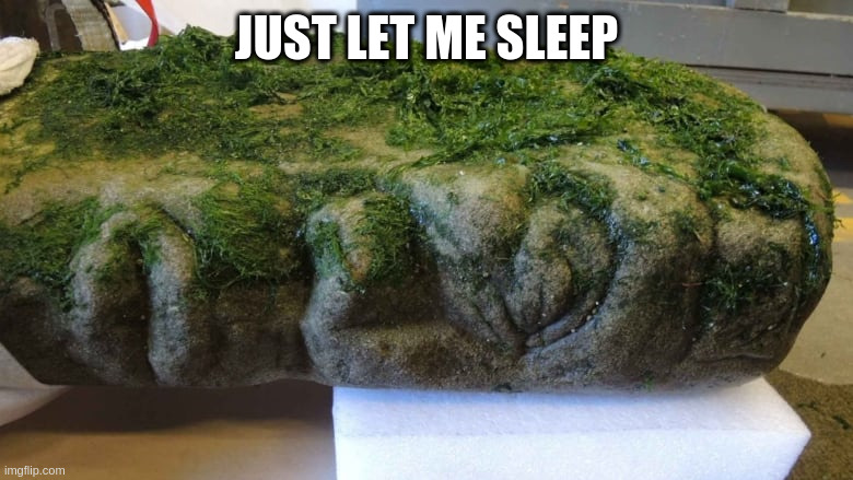 bigfoot evidence | JUST LET ME SLEEP | image tagged in bigfoot evidence | made w/ Imgflip meme maker