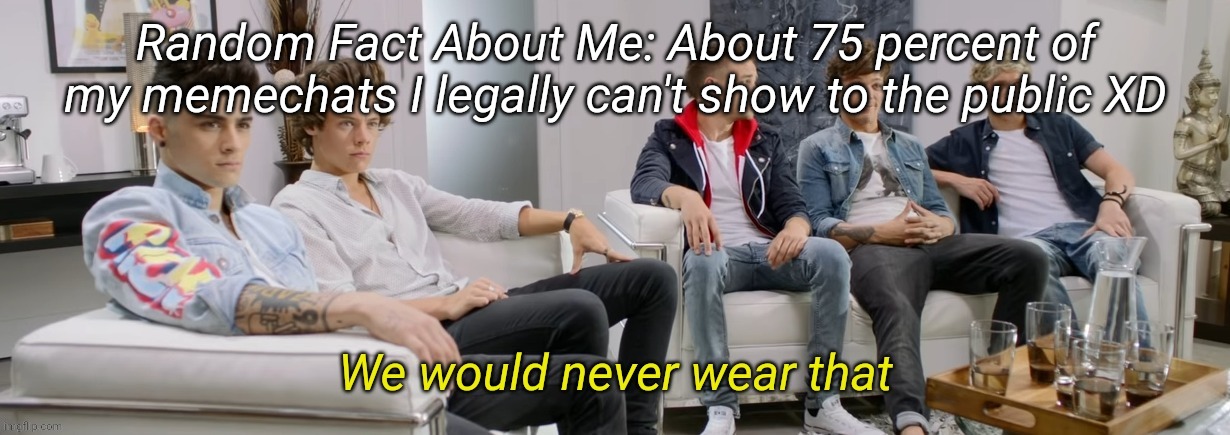 Louis Tomlinson We would never wear that | Random Fact About Me: About 75 percent of my memechats I legally can't show to the public XD | image tagged in louis tomlinson we would never wear that | made w/ Imgflip meme maker