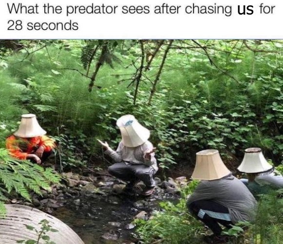 us | image tagged in lamp | made w/ Imgflip meme maker