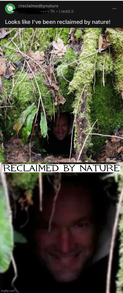 reclaimed by nature | image tagged in reclaimed,by,nature | made w/ Imgflip meme maker