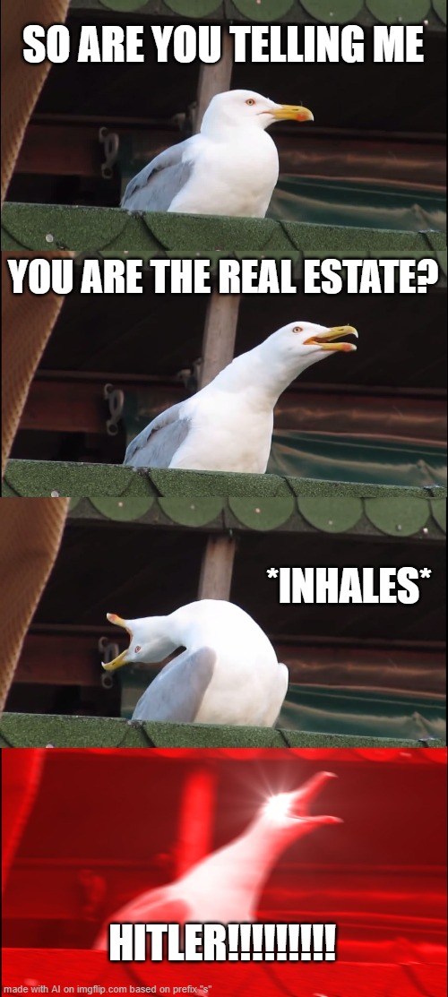 inhales | SO ARE YOU TELLING ME; YOU ARE THE REAL ESTATE? *INHALES*; HITLER!!!!!!!!! | image tagged in memes,inhaling seagull | made w/ Imgflip meme maker