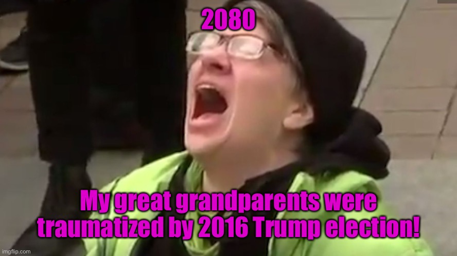 Screaming Liberal  | 2080 My great grandparents were traumatized by 2016 Trump election! | image tagged in screaming liberal | made w/ Imgflip meme maker