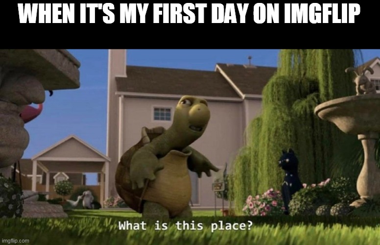 i'm for real | WHEN IT'S MY FIRST DAY ON IMGFLIP | image tagged in what is this place | made w/ Imgflip meme maker