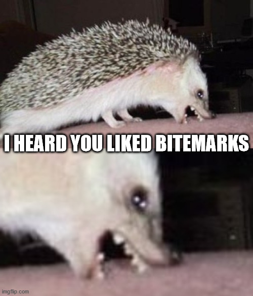 Nibbler | I HEARD YOU LIKED BITEMARKS | image tagged in funny animals,hedgehog,sonic the hedgehog,cute animals,couples,satan | made w/ Imgflip meme maker