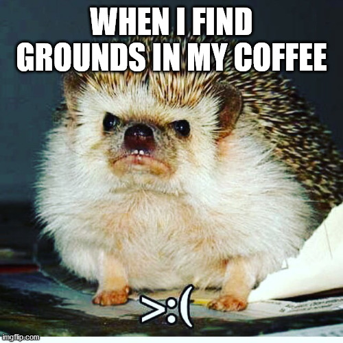Frownie | WHEN I FIND GROUNDS IN MY COFFEE | image tagged in funny animals,hedgehog,coffee,coffee addict,starbucks,frown | made w/ Imgflip meme maker