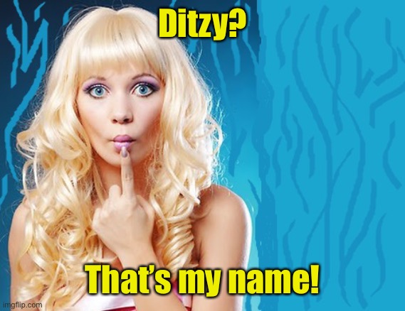 ditzy blonde | Ditzy? That’s my name! | image tagged in ditzy blonde | made w/ Imgflip meme maker