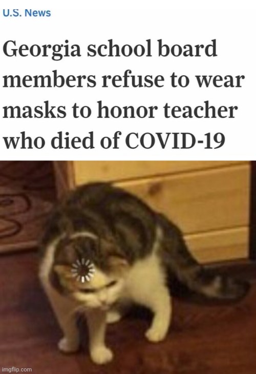 What are those people thinking? | image tagged in loading cat,covid-19,face mask,teacher,died | made w/ Imgflip meme maker
