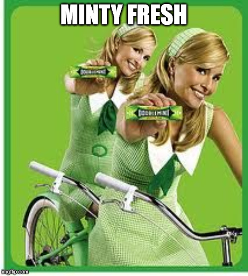 double mint | MINTY FRESH | image tagged in double mint | made w/ Imgflip meme maker