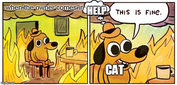 This Is Fine Meme | when the owner comes in CAT HELP | image tagged in memes,this is fine | made w/ Imgflip meme maker