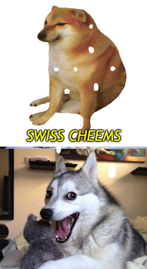  SWISS CHEEMS | image tagged in cheems,memes,bad pun dog,cheese | made w/ Imgflip meme maker