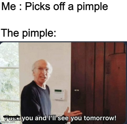 Pimples we're good at comeback... | Me : Picks off a pimple; The pimple: | image tagged in f k you i'll see you tomorrow | made w/ Imgflip meme maker