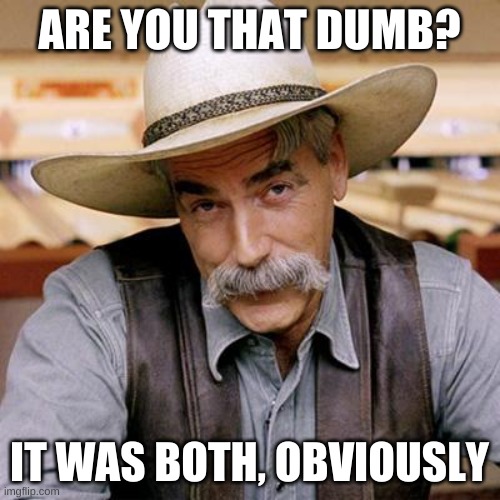 SARCASM COWBOY | ARE YOU THAT DUMB? IT WAS BOTH, OBVIOUSLY | image tagged in sarcasm cowboy | made w/ Imgflip meme maker