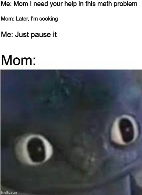 An epic revenge from the times you told me to pause online gaming... | Me: Mom I need your help in this math problem; Mom: Later, I'm cooking; Me: Just pause it; Mom: | image tagged in toothless | made w/ Imgflip meme maker