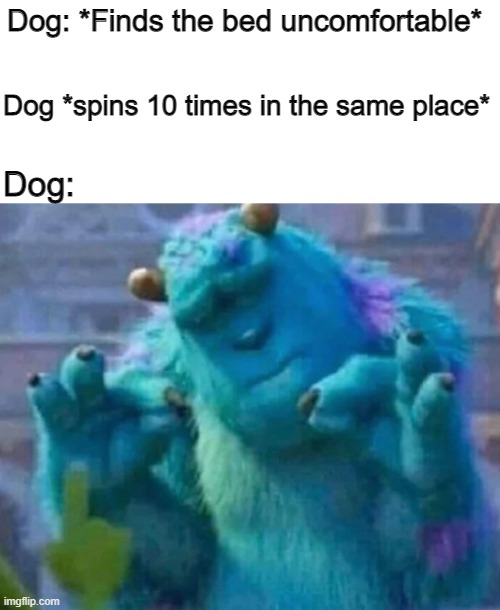 True story... | Dog: *Finds the bed uncomfortable*; Dog *spins 10 times in the same place*; Dog: | image tagged in sullivan perfect,dogs | made w/ Imgflip meme maker