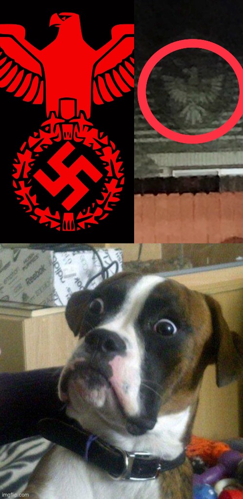 Just driving by one day and saw this on someone’s house | image tagged in scared dog,meme,funny,funny meme,nazi | made w/ Imgflip meme maker