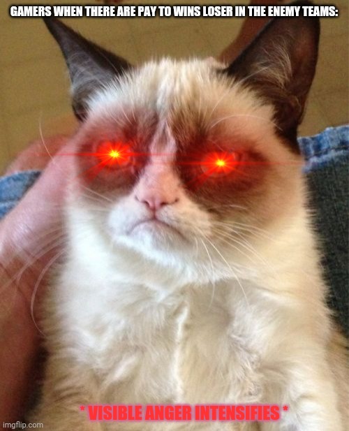 Grumpy Cat Meme | GAMERS WHEN THERE ARE PAY TO WINS LOSER IN THE ENEMY TEAMS:; * VISIBLE ANGER INTENSIFIES * | image tagged in memes,grumpy cat,men cheating | made w/ Imgflip meme maker