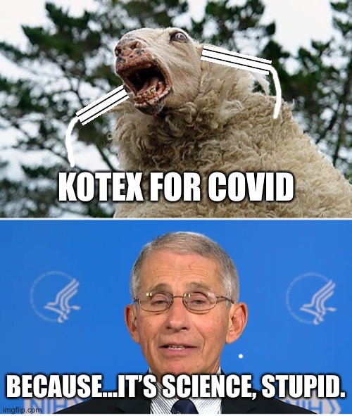 We are being played by some sick doctors | KOTEX FOR COVID; BECAUSE...IT’S SCIENCE, STUPID. | image tagged in mad sheep,dr fauci,memes,science,stupid,covid | made w/ Imgflip meme maker