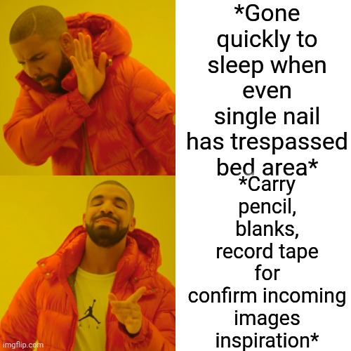 -Two lines. | *Gone quickly to sleep when even single nail has trespassed bed area*; *Carry pencil, blanks, record tape for confirm incoming images inspiration* | image tagged in memes,drake hotline bling,bedroom,adult humor,nailed it,records | made w/ Imgflip meme maker