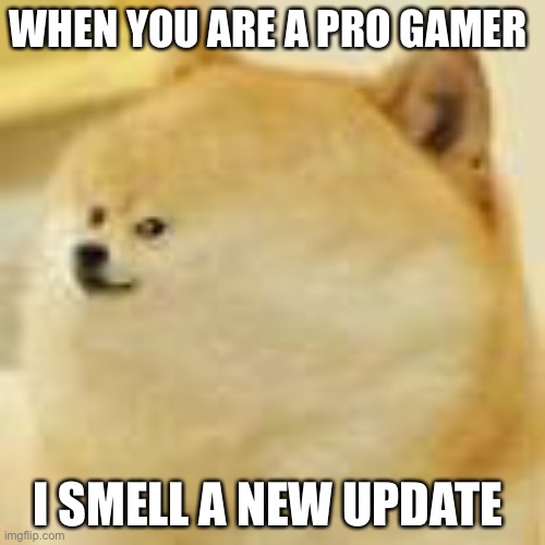 The meme of all memes  | WHEN YOU ARE A PRO GAMER; I SMELL A NEW UPDATE | image tagged in the meme of all memes | made w/ Imgflip meme maker