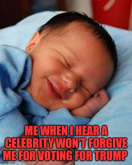 Sound Sleeper | ME WHEN I HEAR A CELEBRITY WON'T FORGIVE ME FOR VOTING FOR TRUMP | image tagged in sleeping baby smile | made w/ Imgflip meme maker