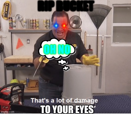 Thats alot of damage | RIP BUCKET; OH NO; TO YOUR EYES | image tagged in thats alot of damage | made w/ Imgflip meme maker