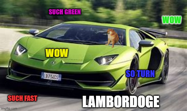 Lambordoge | SUCH GREEN; WOW; WOW; SO TURN; SUCH FAST; LAMBORDOGE | image tagged in memes,cars | made w/ Imgflip meme maker