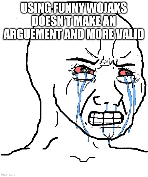 cry wojak | USING FUNNY WOJAKS DOESN’T MAKE AN ARGUEMENT AND MORE VALID | image tagged in cry wojak | made w/ Imgflip meme maker