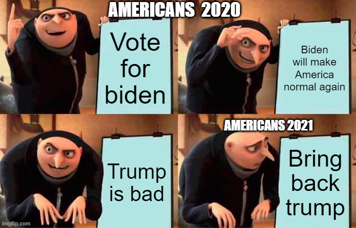 Gru's Plan Meme | AMERICANS  2020; Vote for biden; Biden will make America normal again; AMERICANS 2021; Trump is bad; Bring back trump | image tagged in memes,gru's plan | made w/ Imgflip meme maker