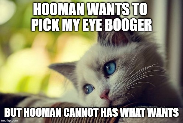 picky hooman | HOOMAN WANTS TO 
PICK MY EYE BOOGER; BUT HOOMAN CANNOT HAS WHAT WANTS | image tagged in memes,first world problems cat | made w/ Imgflip meme maker