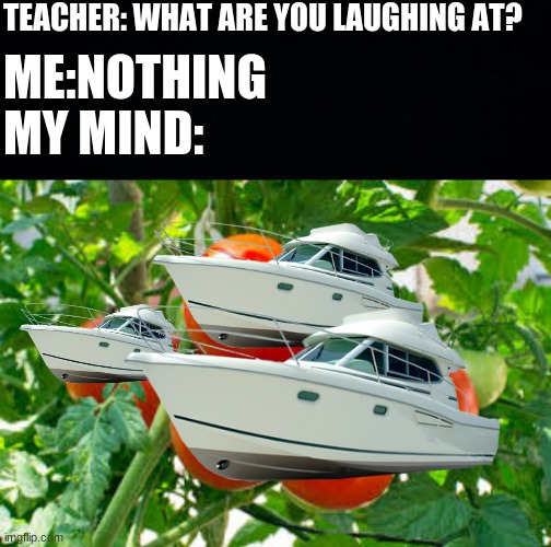 Boatanist | TEACHER: WHAT ARE YOU LAUGHING AT? ME:NOTHING; MY MIND: | image tagged in black background | made w/ Imgflip meme maker