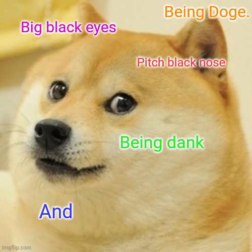Doge Meme | Being Doge. Big black eyes; Pitch black nose; Being dank; And | image tagged in memes,doge | made w/ Imgflip meme maker