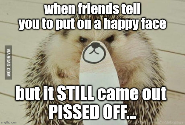 munDAZE | when friends tell you to put on a happy face; but it STILL came out 
PISSED OFF... | image tagged in funny animals,sonic the hedgehog,hedgehog,customer service,i hate mondays,funny memes | made w/ Imgflip meme maker
