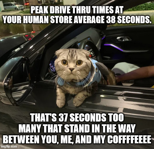 Prissy Customer | PEAK DRIVE THRU TIMES AT YOUR HUMAN STORE AVERAGE 38 SECONDS. THAT'S 37 SECONDS TOO MANY THAT STAND IN THE WAY BETWEEN YOU, ME, AND MY COFFFFEEEE | image tagged in funny cat memes,coffee,coffee addict,starbucks,starbucks barista,customer service | made w/ Imgflip meme maker