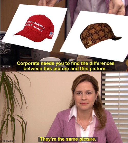 They're The Same Picture | image tagged in memes,they're the same picture,politics,treason,scumbag,maga | made w/ Imgflip meme maker