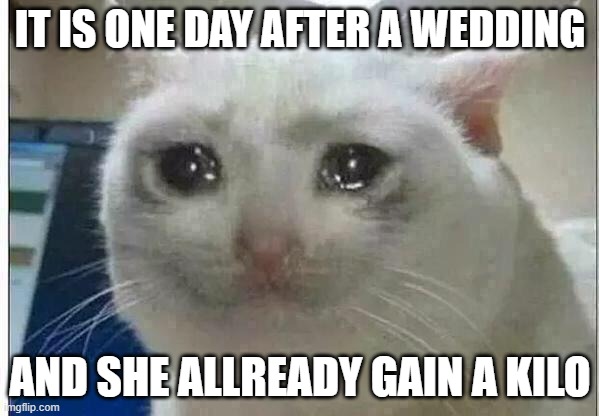 crying cat | IT IS ONE DAY AFTER A WEDDING; AND SHE ALLREADY GAIN A KILO | image tagged in crying cat | made w/ Imgflip meme maker