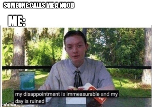 Very ruined | SOMEONE:CALLS ME A NOOB; ME: | image tagged in my dissapointment is immeasurable and my day is ruined | made w/ Imgflip meme maker