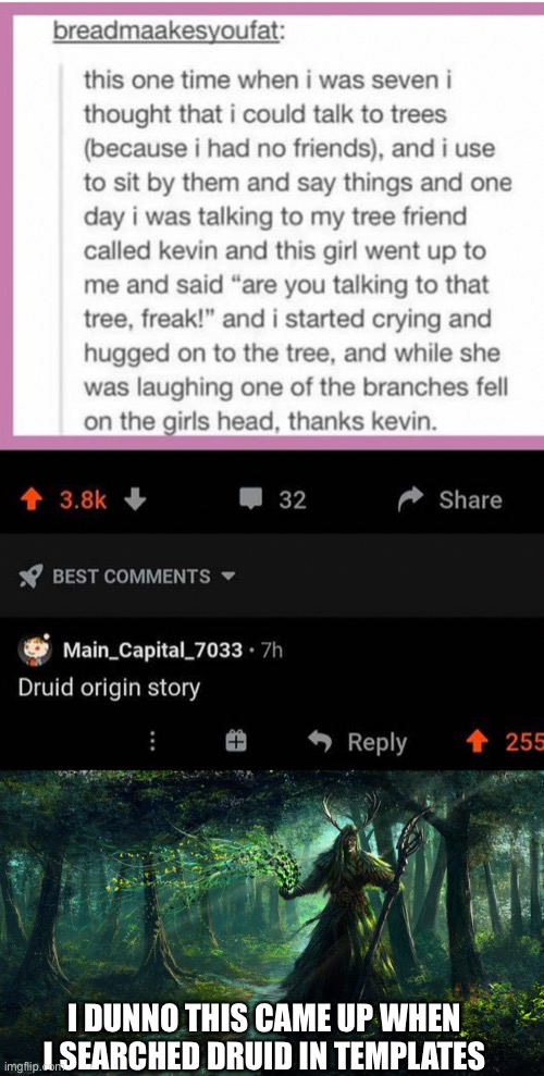 Druid origins | I DUNNO THIS CAME UP WHEN I SEARCHED DRUID IN TEMPLATES | image tagged in druids,comments,cursed,comment,repost | made w/ Imgflip meme maker