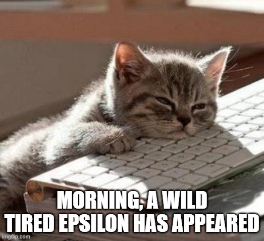 tired cat | MORNING, A WILD TIRED EPSILON HAS APPEARED | image tagged in tired cat | made w/ Imgflip meme maker