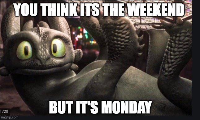 It real | YOU THINK ITS THE WEEKEND; BUT IT'S MONDAY | image tagged in toothless | made w/ Imgflip meme maker