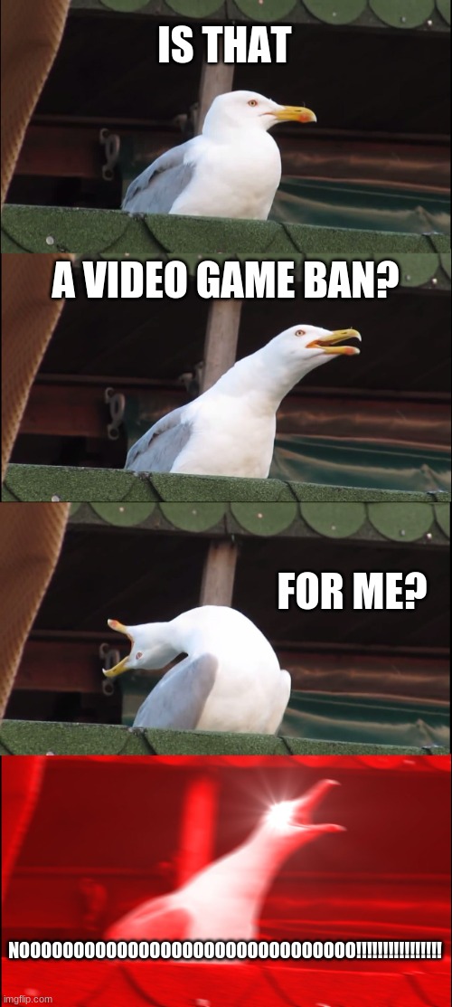 Inhaling Seagull Meme | IS THAT; A VIDEO GAME BAN? FOR ME? NOOOOOOOOOOOOOOOOOOOOOOOOOOOOOOO!!!!!!!!!!!!!!!! | image tagged in memes,inhaling seagull | made w/ Imgflip meme maker