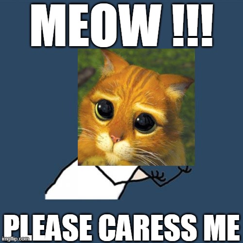 Y U No | MEOW !!! PLEASE CARESS ME | image tagged in memes,y u no | made w/ Imgflip meme maker