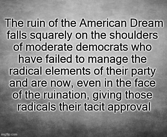 the ruin of the American Dream | The ruin of the American Dream
falls squarely on the shoulders 
of moderate democrats who 
have failed to manage the 
radical elements of their party 
and are now, even in the face 
of the ruination, giving those 
radicals their tacit approval | image tagged in politics | made w/ Imgflip meme maker