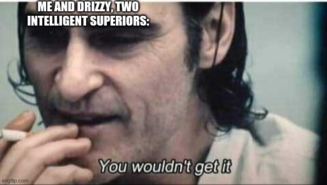 You wouldn't get it | ME AND DRIZZY, TWO INTELLIGENT SUPERIORS: | image tagged in you wouldn't get it | made w/ Imgflip meme maker