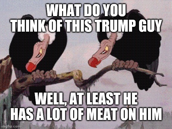 Feeling Peckish | WHAT DO YOU THINK OF THIS TRUMP GUY; WELL, AT LEAST HE HAS A LOT OF MEAT ON HIM | image tagged in funny memes | made w/ Imgflip meme maker