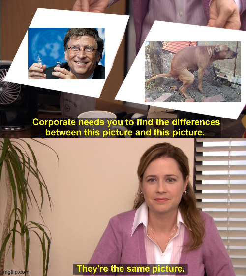 4w77m6.jpg