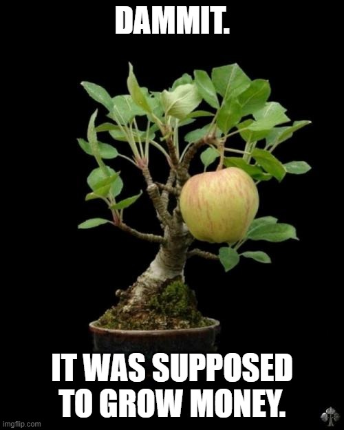 Small Tree Big Fruits | DAMMIT. IT WAS SUPPOSED TO GROW MONEY. | image tagged in small tree big fruits | made w/ Imgflip meme maker