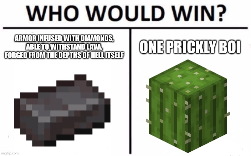 Who Would Win? Meme | ARMOR INFUSED WITH DIAMONDS, ABLE TO WITHSTAND LAVA, FORGED FROM THE DEPTHS OF HELL ITSELF; ONE PRICKLY BOI | image tagged in memes,who would win,minecraft,nether,cactus,boi | made w/ Imgflip meme maker